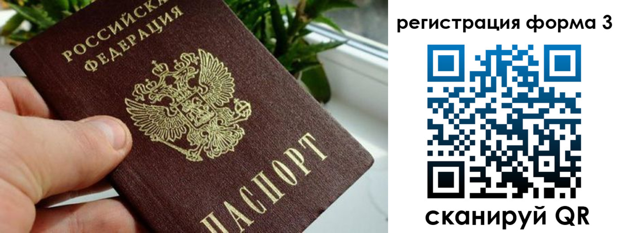 где прописаться в Грозном